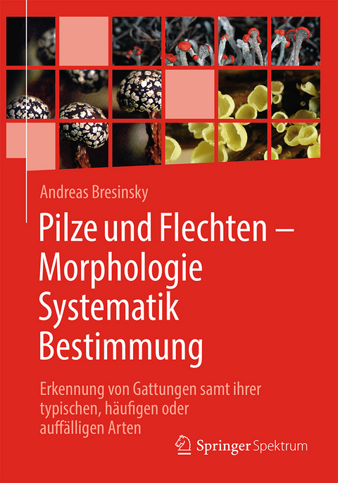 Pilze und Flechten – Morphologie, Systematik, Bestimmung - Andreas Bresinsky