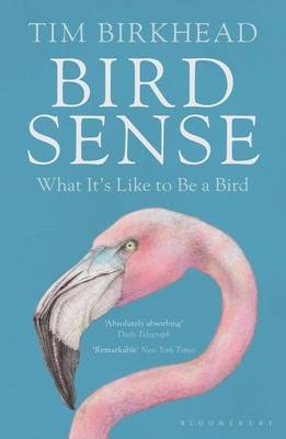 Bird Sense -  Birkhead Tim Birkhead