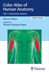 Color Atlas of Human Anatomy, Volume 1 - Werner Platzer, Thomas Shiozawa-Bayer