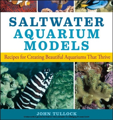 Saltwater Aquarium Models -  John H. Tullock