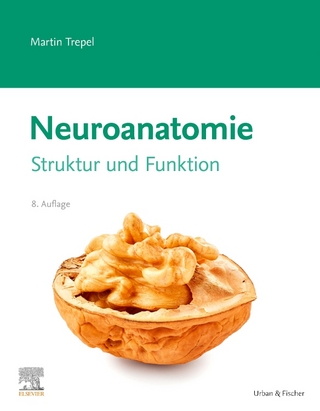 >Neuroanatomie<