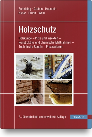 Holzschutz - Wolfram Scheiding; Peter Grabes; Tilo Haustein …