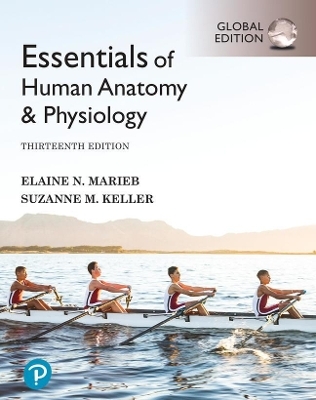 Pearson eText Access Card for Essentials of Human Anatomy & Physiology, Global Edition - Elaine Marieb; Suzanne Keller