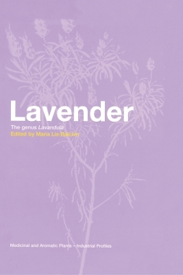 Lavender - 
