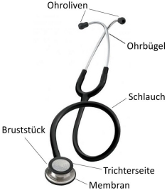 Aufbau eines Stethoskops