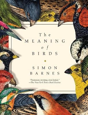 The Meaning of Birds - Simon Barnes