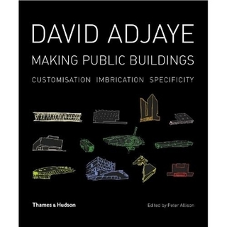 David Adjaye: Making Public Buildings - Peter Allison