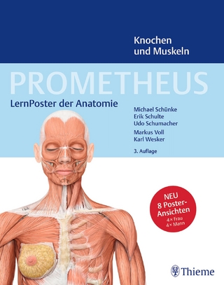 PROMETHEUS LernPoster der Anatomie, Knochen und Muskeln - Michael Schünke; Erik Schulte; Udo Schumacher
