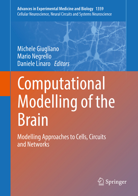 Computational Modelling of the Brain - 