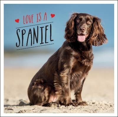 Love is a Spaniel - Charlie Ellis