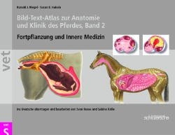 Bild-Text-Atlas zur Anatomie und Klinik des Pferdes, Band 2 - Ronald Riegel; Susan Hakola