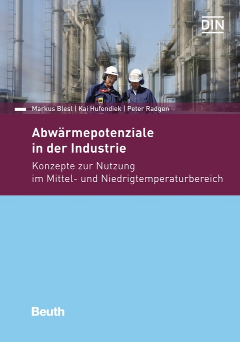 Abwärmepotentiale in der Industrie - Buch mit E-Book - Markus Blesl, Kai Hufendiek, Peter Radgen
