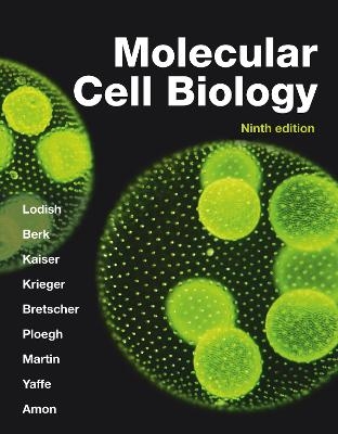 Molecular Cell Biology - Harvey Lodish, Arnold Berk, Chris Kaiser, Monty Krieger, Anthony Bretscher
