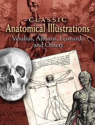 Classic Anatomical Illustrations - Albinus; Leonardo; Vesalius