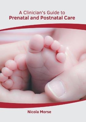 A Clinician's Guide to Prenatal and Postnatal Care - 