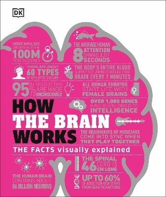 How the Brain Works -  Dk