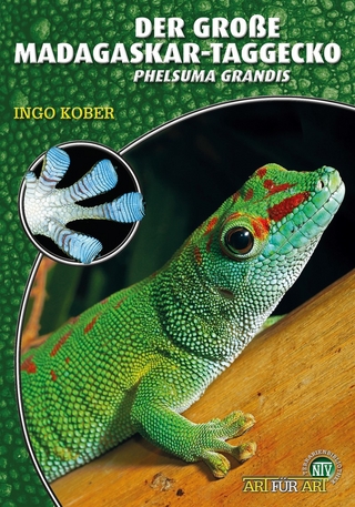 Der große Madagaskar-Taggecko - Ingo Kober