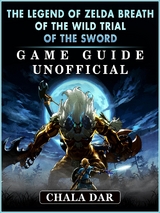 Legend of Zelda Breath of The Wild Trial of the Sword Game Guide Unofficial -  Chala Dar