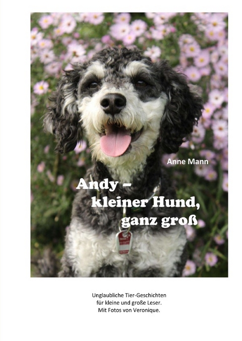Andy - kleiner Hund, ganz groß - Anne Mann