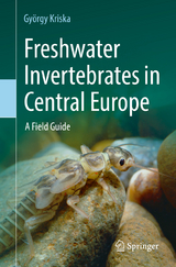 Freshwater Invertebrates in Central Europe - Kriska, György