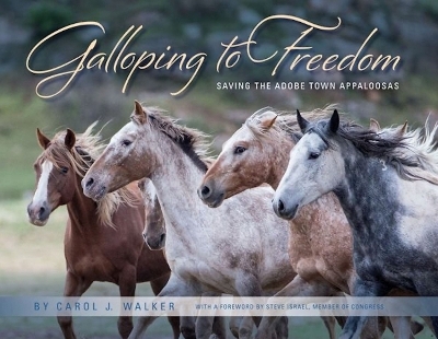 Galloping to Freedom - Carol Walker  Carol, Steve Israel
