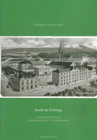 Die Stadt im Gebirge - Elisabeth Dietrich-Daum