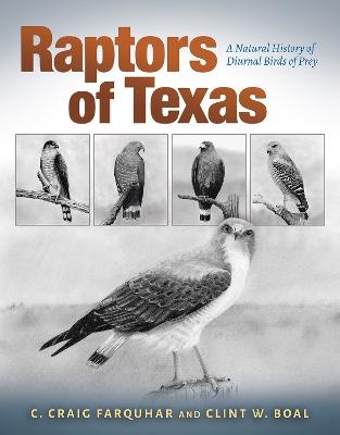 Raptors of Texas - Charles Craig Farquhar