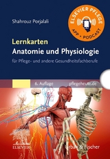 Lernkarten Anatomie und Physiologie - Porjalali, Shahrouz