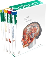 Sobotta, Atlas der Anatomie - 3 Bände inkl. Lerntabellen und Lernposter im Schuber - Paulsen, Friedrich; Waschke, Jens