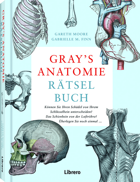 Gray's Anatomie Rätselbuch - Gareth Moore, Gabrielle M. Finn
