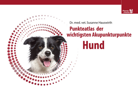 Punkteatlas der wichtigsten Akupunkturpunkte – Hund - Susanne Hauswirth