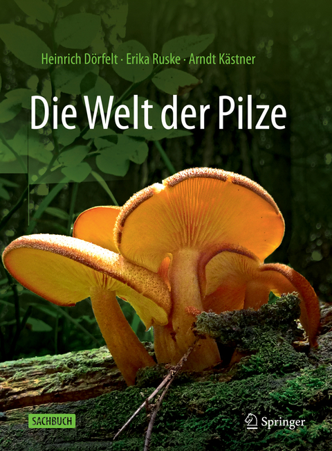 Die Welt der Pilze - Heinrich Dörfelt, Erika Ruske, Arndt Kästner