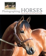 Photographing Horses -  Lesli Groves