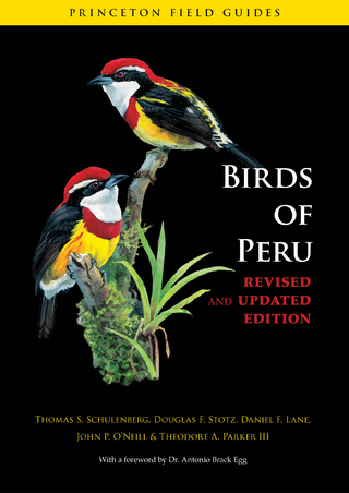 Birds of Peru - Thomas S. Schulenberg; Douglas F. Stotz; Daniel F. Lane; John P. O'Neill; Theodore A. Parker