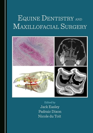 Equine Dentistry and Maxillofacial Surgery - Jack Easley; Padraic Dixon; Nicole du Toit