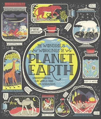 The Wondrous Workings of Planet Earth - Rachel Ignotofsky