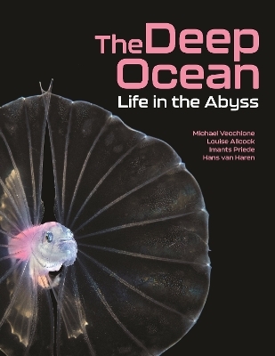 The Deep Ocean - Michael Vecchione; Louise Allcock; Imants Priede …