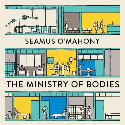 The Ministry of Bodies - Seamus O'Mahony