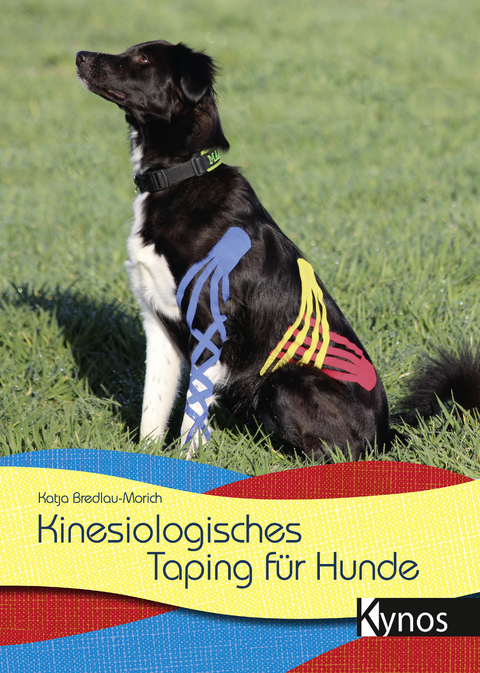 Kinesiologisches Taping für Hunde - Katja Bredlau-Morich