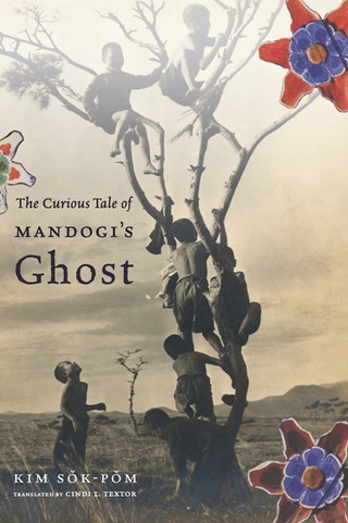 The Curious Tale of Mandogi's Ghost - Sok-pom Kim