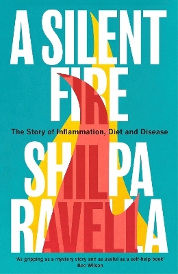A Silent Fire - Shilpa Ravella