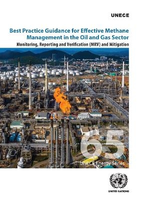 Best practice guidance for effective methane management in the oil and gas sector -  United Nations: Economic Commission for Europe
