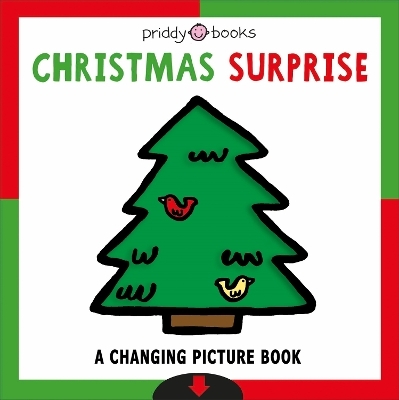 Christmas Surprise - Roger Priddy