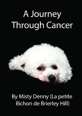 A Journey Through Cancer - Misty Denny