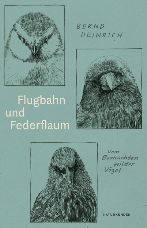 Flugbahn und Federflaum - Bernd Heinrich