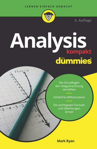 Analysis kompakt für Dummies - Mark Ryan