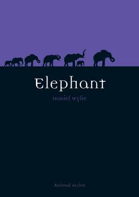 Elephant - Wylie Dan Wylie