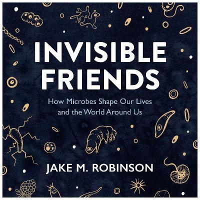 Invisible Friends - Jake Robinson