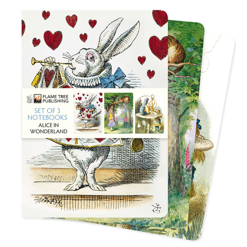 Alice in Wonderland Set of 3 Standard Notebooks - 