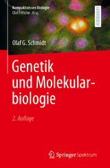 Genetik und Molekularbiologie - Schmidt, Olaf G.